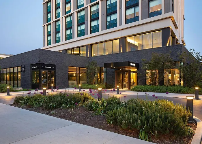 The Study At The University Of Chicago