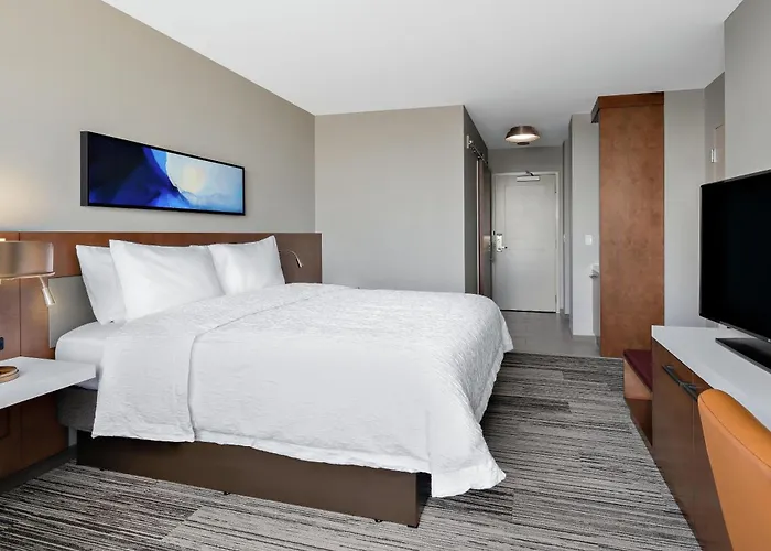 Hilton Garden Inn Chicago Mccormick Place